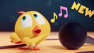 NEW Chicky makes music | Where's Chicky? | Cartoon Collection in English for Kids | New episodes