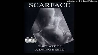 Scarface - In My Time (Instrumental)