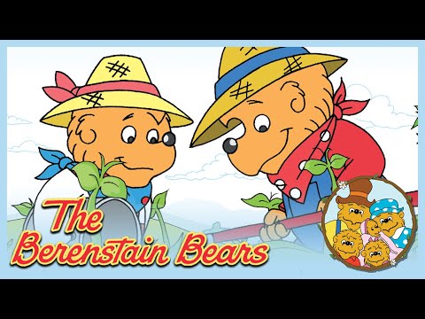 Berenstain Bears: The Summer Job/ The Big Red Kite - Ep.21