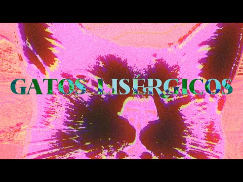 GATOS LISÉRGICOS - Dani Roldi (Madrid Stoner Scene Documentary)