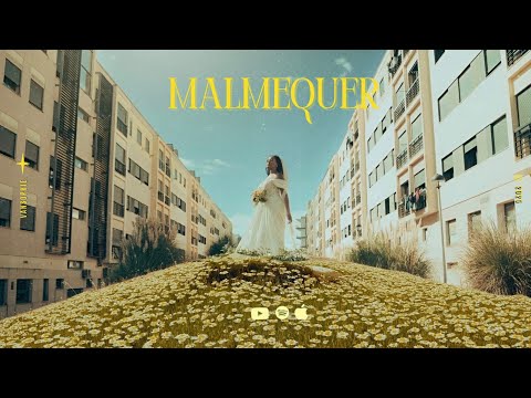 Van Sophie - Malmequer