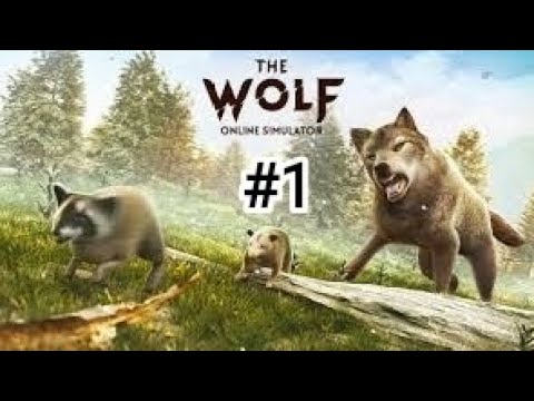 The Wolf #1 Wolf statt Fuchs 🥲