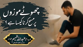 Download lagu 📕Chhotay mozoun par masah karna kaisa hai? |🎙 Shaikh Abdullah Shameem Sahab Hafizaullah mp3 Download lagu 📕Chhotay mozoun par masah karna kaisa hai? |🎙 Shaikh Abdullah Shameem Sahab Hafizaullah mp3