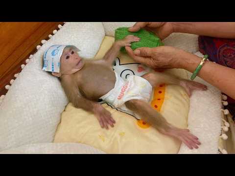 Lulu Looks So Tired After a Long Night Without Sleep — Grandma Tries to Take Care of Her