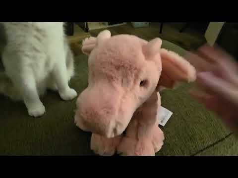 New Douglas Dragon Plush Review - Burnie, Indie Ronnie - Review 