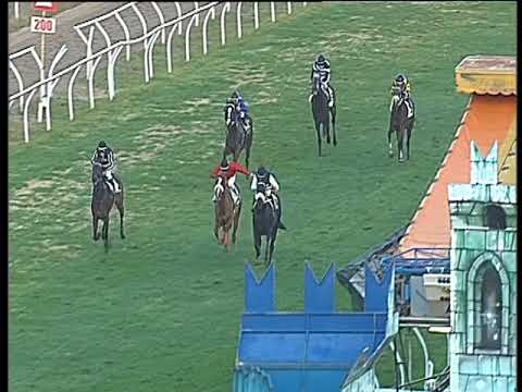 Galoppo 04/01/2018 - 4ª corsa