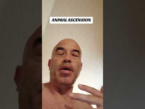 animal ascension