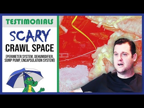 🐊 Scary Crawl Space! (and basement) - Dry Guys Testimonial