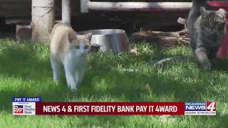 If you see stray cats with clipped ears in Guthrie, here's why