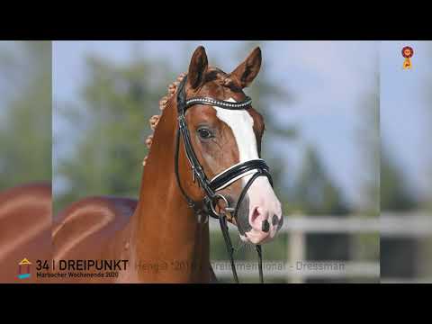 34 Dreipunkt v. Dreidimensional - Dressman  *MARBACHER WOCHENENDE 2020*