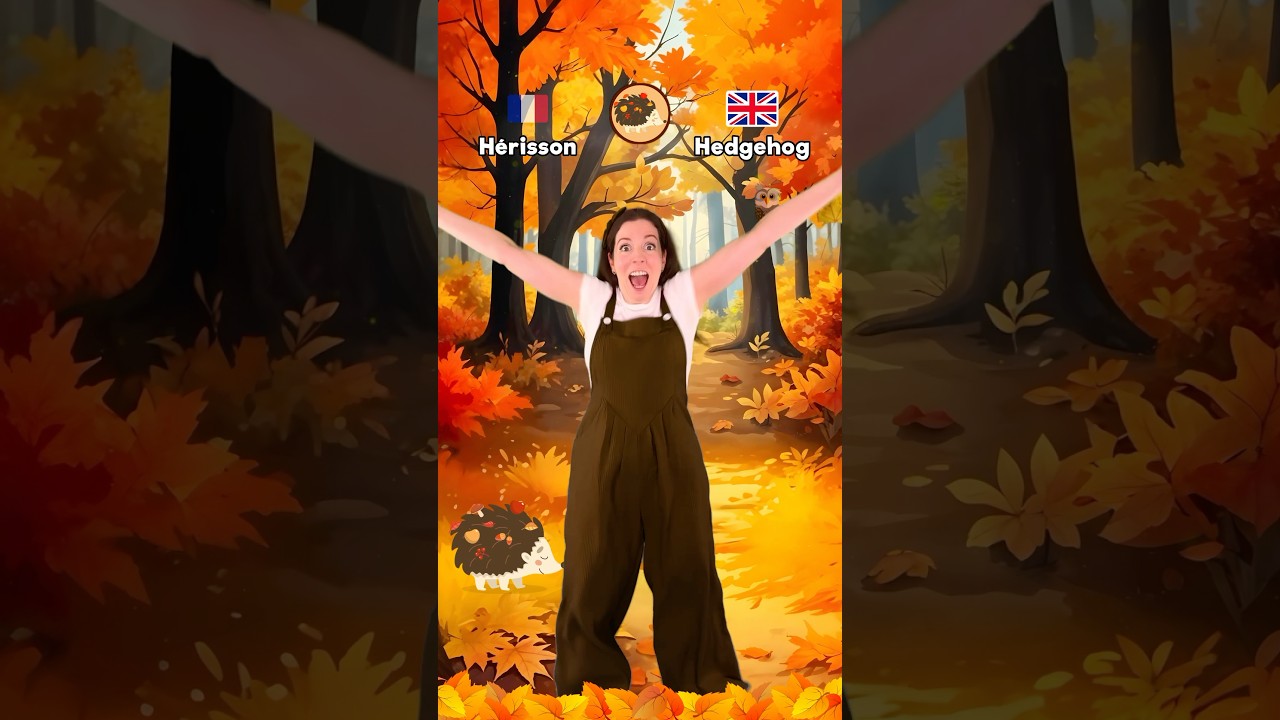 Les animaux de la forêt / Forest animals 🇫🇷🇬🇧 #dance #enfants #parents #english #french