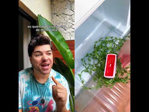 Vitor Orth #edits #humor #fly #fy #viral #shorts #shortes #short #foryou #fry #yt #asmr #asmrsounds