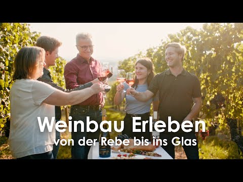 Weinbau Erleben - von der Rebe bis ins Glas | Weingut Ott aus Hohenhaslach - Doku