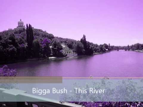 Bigga Bush -  This River