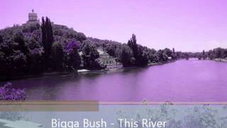 Bigga Bush -  This River