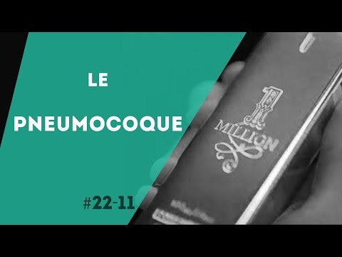 PNN 22.11 - Le Pneumocoque