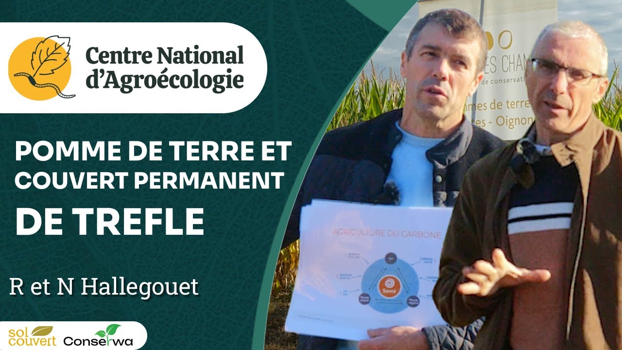 Couvert permanent de trèfle et pommes de terre en ACS, R et N Hallegouet - Journée Séguy 2024 - CNA