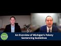 An Overview of Michigan's Felony Sentencing Guidelines