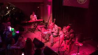 Elvin Bishop's Big Fun Trio - Fooled Around and Fell in Love