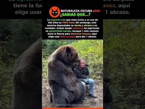 ​El Abrazo Letal De 400 Kilos 0% 🐻 #oso #amistad #naturaleza