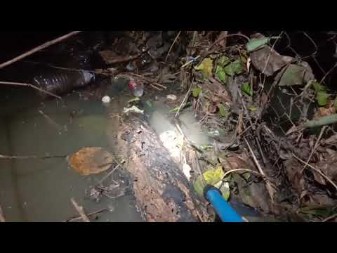 PART 2 MY VIDEO NA PAANO MANGHULI NG KIWIT  O IGAT