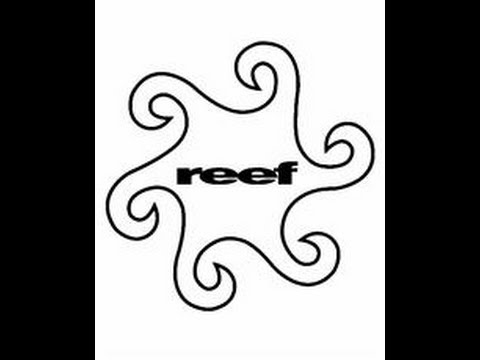 reef *new album* Lucky #5