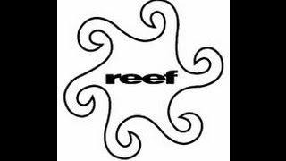 reef *new album* Lucky #5