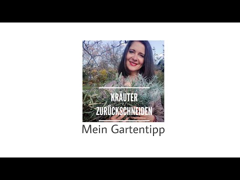 , title : 'Kräuter zurückschneiden | berlingartentipp'