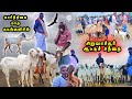 சிறுவாச்சூர் ஆட்டுச் சந்தை SIruvachur Aattu Sandhai 