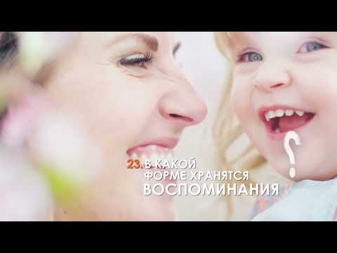 100 вопросов обо всем — Как волк стал собакой?