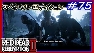 【【要塞に奇襲】】#75 RED DEAD REDEMPTION 2：スペシャルエディション【ハイリスクな宝の地図３発見】