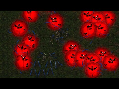 BISU! JAEDONG! HAMBURGERSASU! FME! FFA! - StarCraft - Brood War 2023