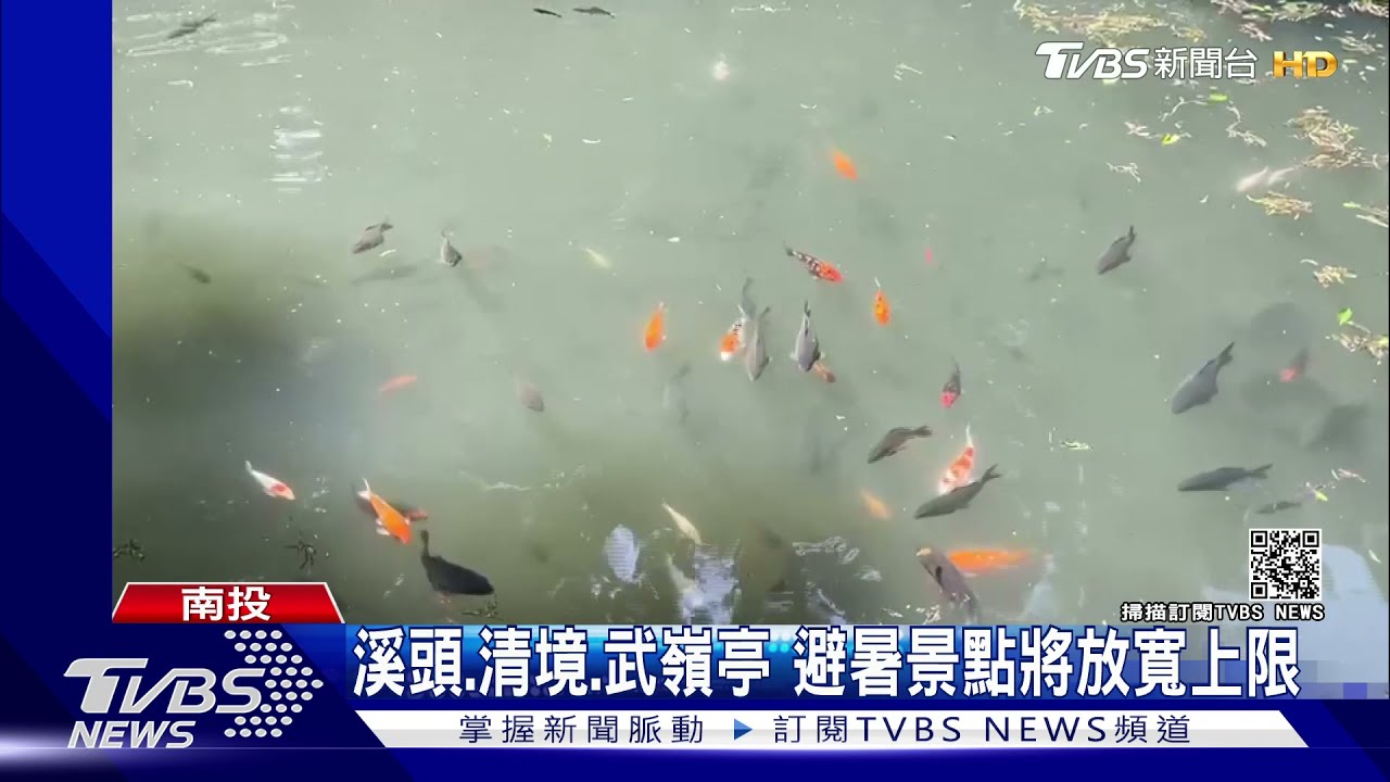 溪頭、清境、武嶺亭　避暑景點將放寬上限