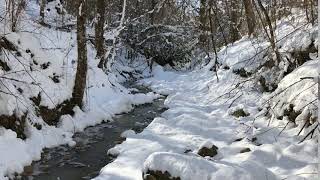 Snowy Mountain Creek 2