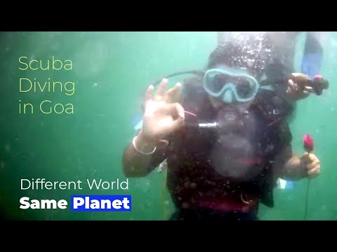 Different world on same planet | Scuba Diving Goa | The Aman Batra