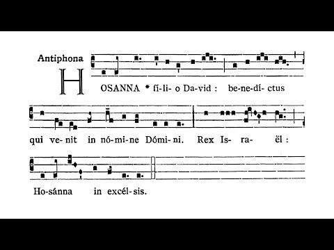 Dominica II in Passionis seu in Palmis (Palm Sunday) - Antiphona (Hosanna filio David)