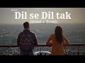 Ishq De Haare Se Ishq De Pyare Se | Dil Se Dil Tak | Bawal | Janhvi , Varun |