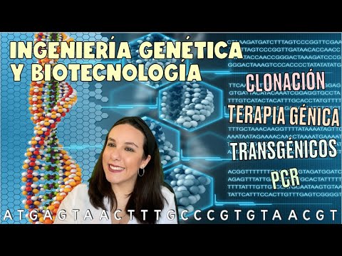 INGENIERÍA GENÉTICA Y BIOTENOLOGÍA - Clonación, terapia génica, transgénicos, PCR, bioética