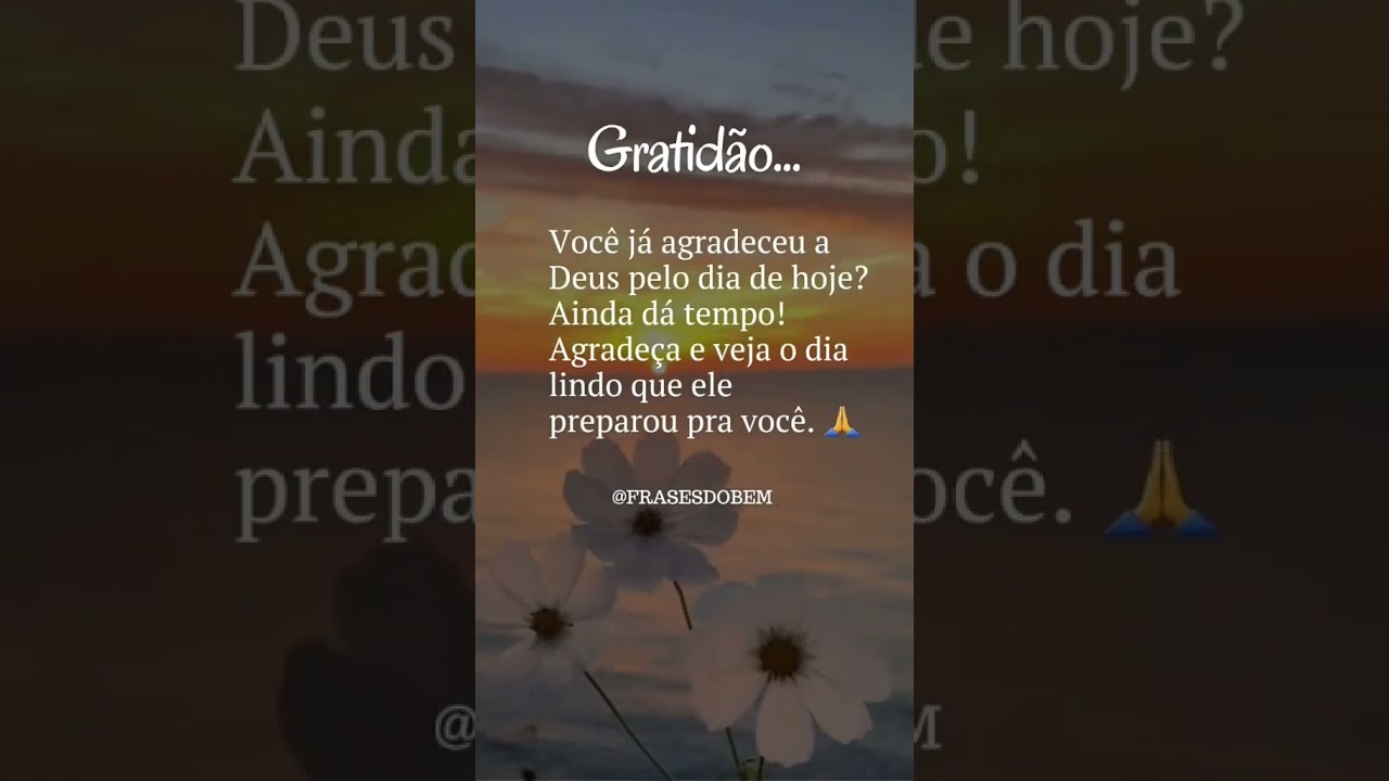 Gratidão Por Mais Um Dia #frases #mensagem #frasesbonitabonitas #hoje #whatsapp #motivação ...
