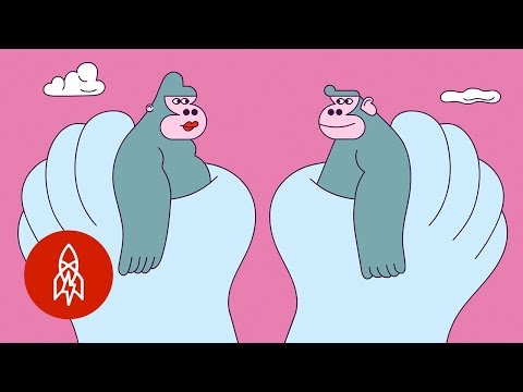 種の存続のためのマッチメイキング (Matchmaking for Species Survival)