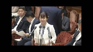 参政党・川裕一郎委員（質疑）、豊田真由子（共同法案提出者答弁）～国民感情を保護法益とする。法律の趣旨、具体的運用、将来へのメッセージを問う。（衆院内閣委員会「国旗損壊処罰法案」2026年6月26日）
