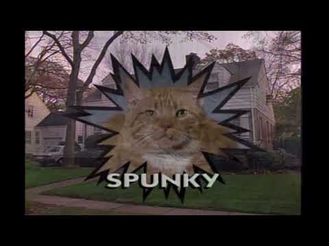 Where are they now? Toonces the Driving Cat FunniCuzitstru -Shorts