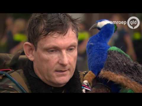 4Daagse Journaal 20 juli 2017 - 4Daagse Journaal 20-07-2017