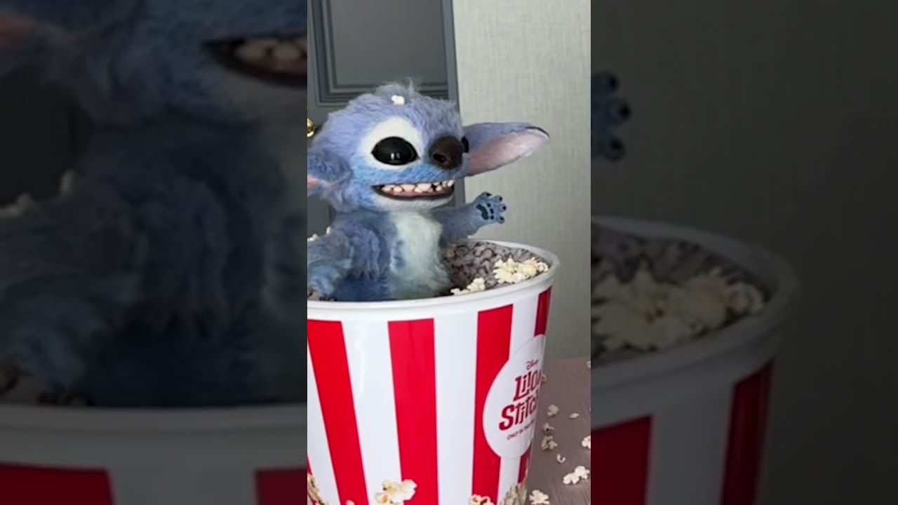 Video náhled