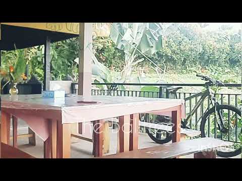 Leg Behind Head || The Balitrees