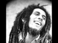 Bob Marley  Lion of Judah (Lycris)