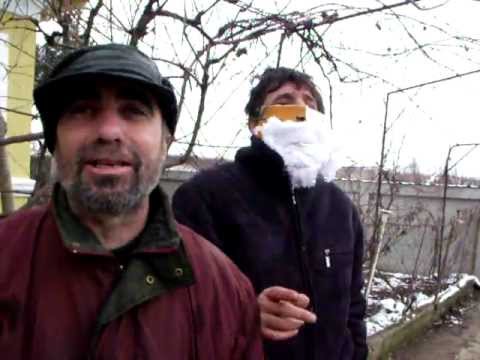 colindatori de copaceanca 2