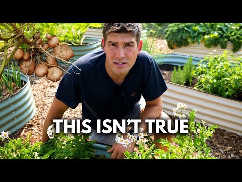 Don’t Believe These 4 LIES About Growing Potatoes! 