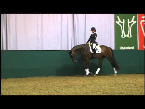 08 For your best v.Fidertanz/Louis le Bon (44.NRW Elite-Auktion) www.westfalenpferde.de