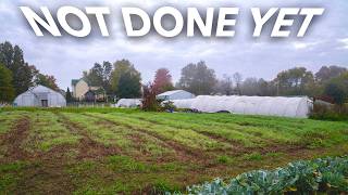 Everything You Can Plant Before Winter Hits